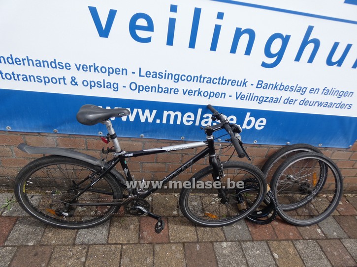 Mountainbike "Specialized"