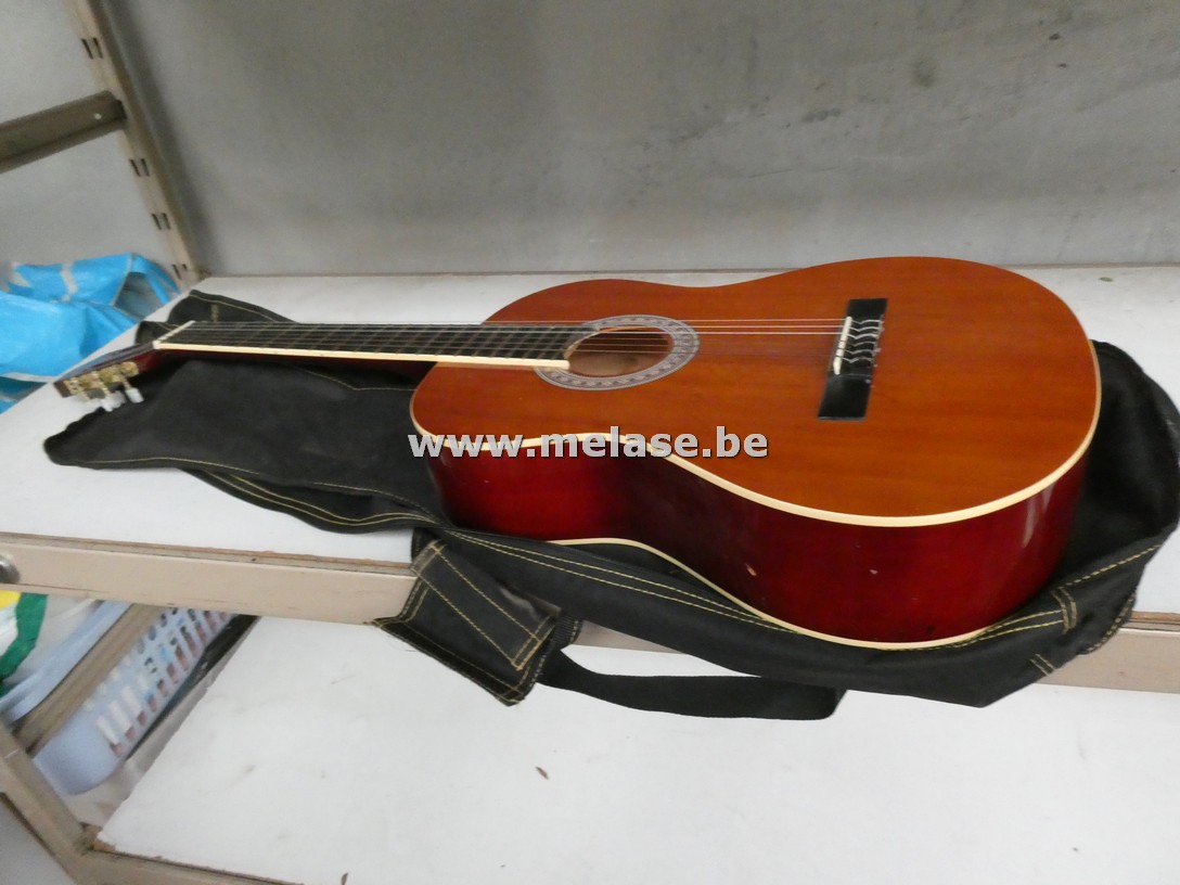 Gitaar "Amuse"
