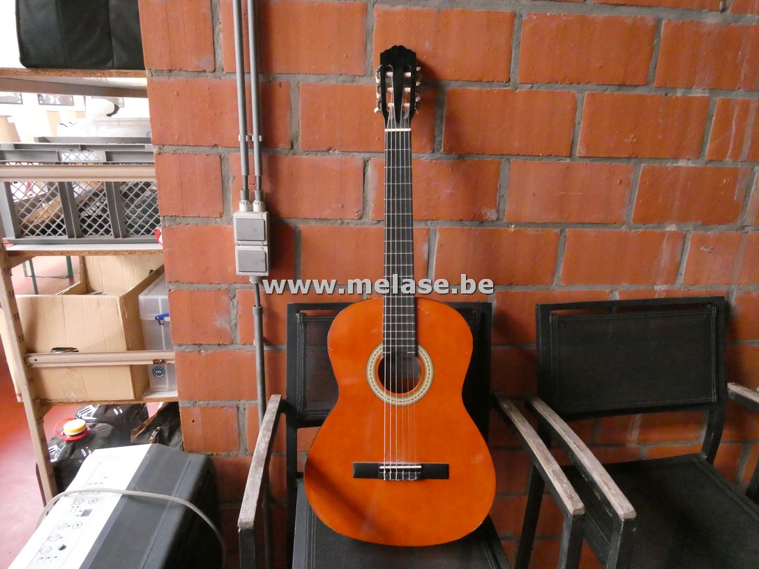 Gitaar
