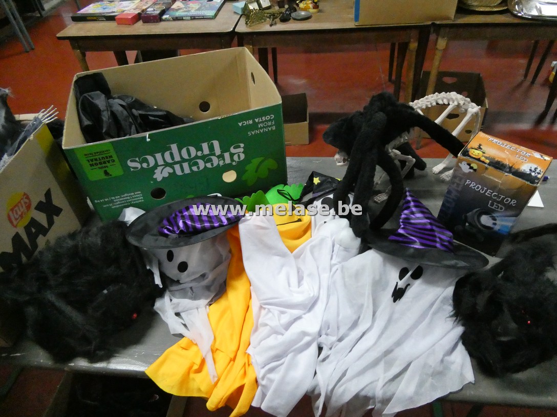 Decoratievaria "Halloween"