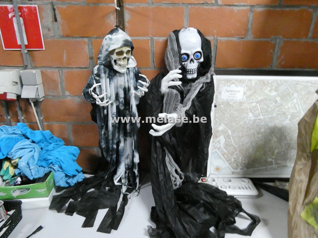 Decoratievaria "Halloween - skeletten"