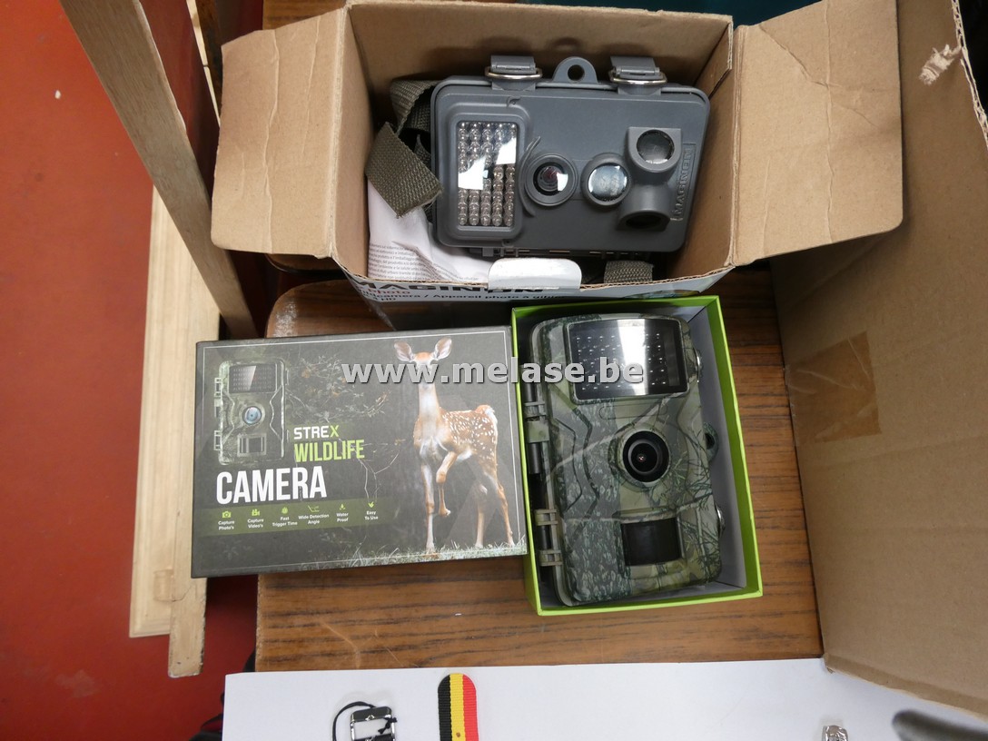Wildcamera's "Strex - Maginon"