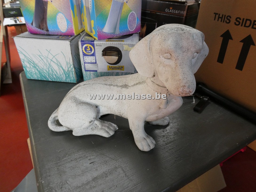 Hond in beton