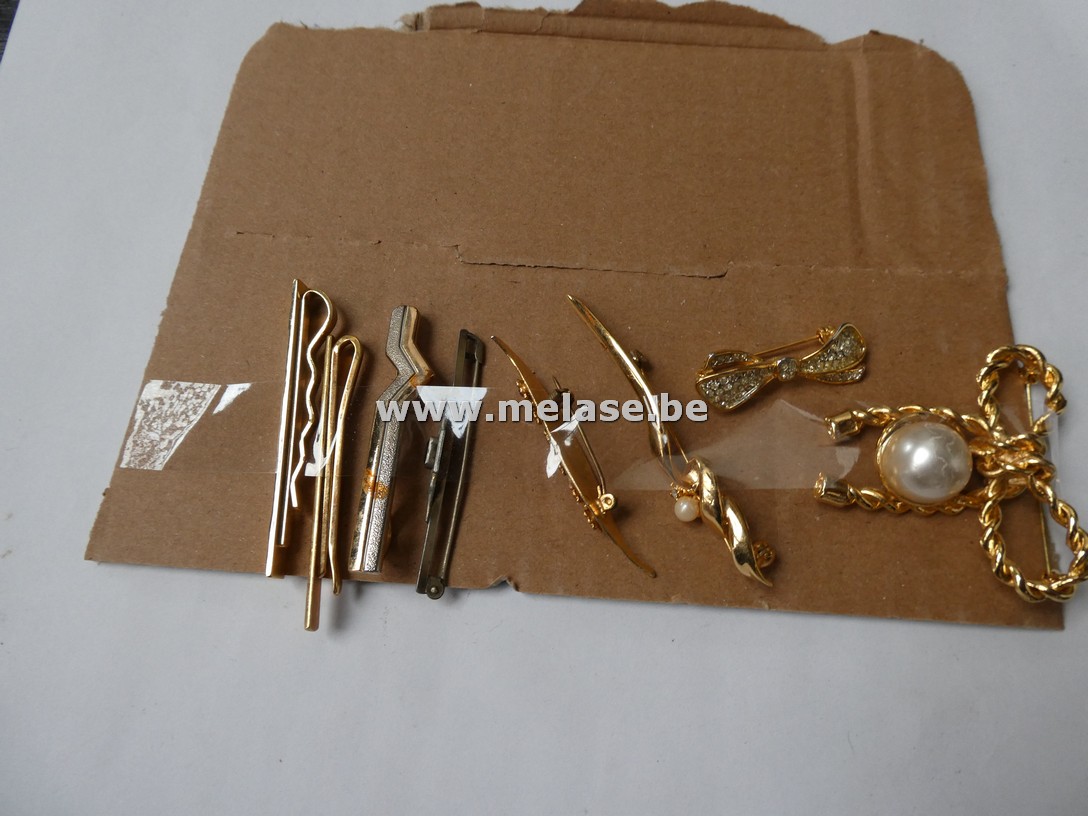 Broches en dasspelden