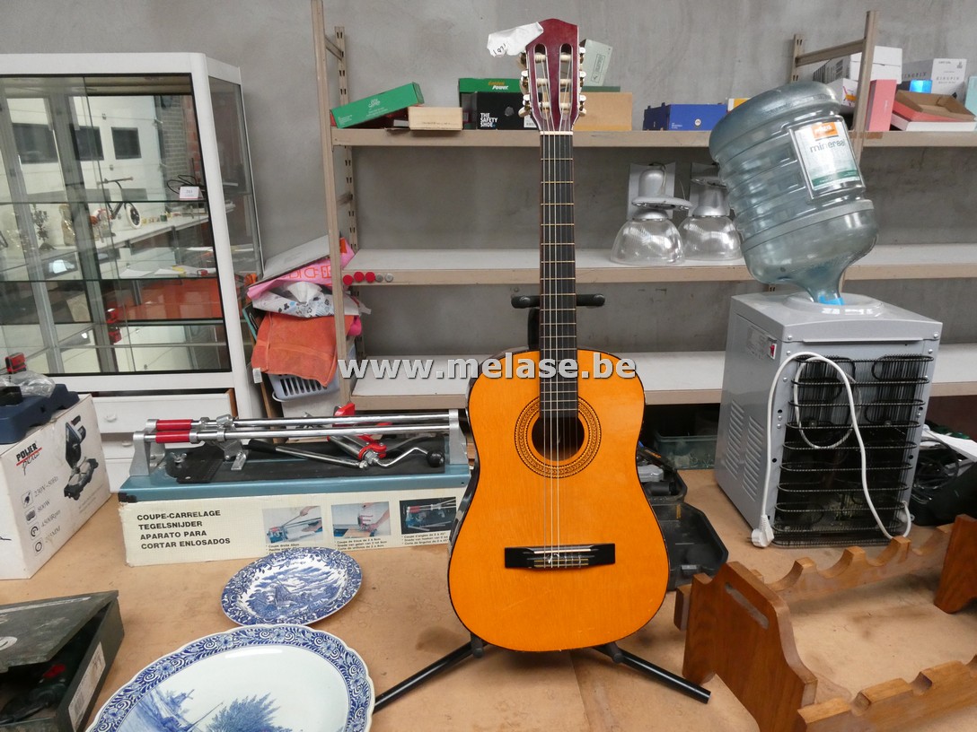 Gitaar met staander