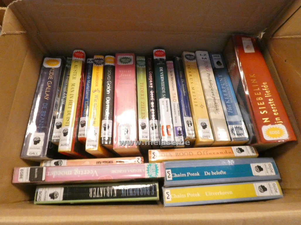 Doos boeken "Psychologische thrillers"