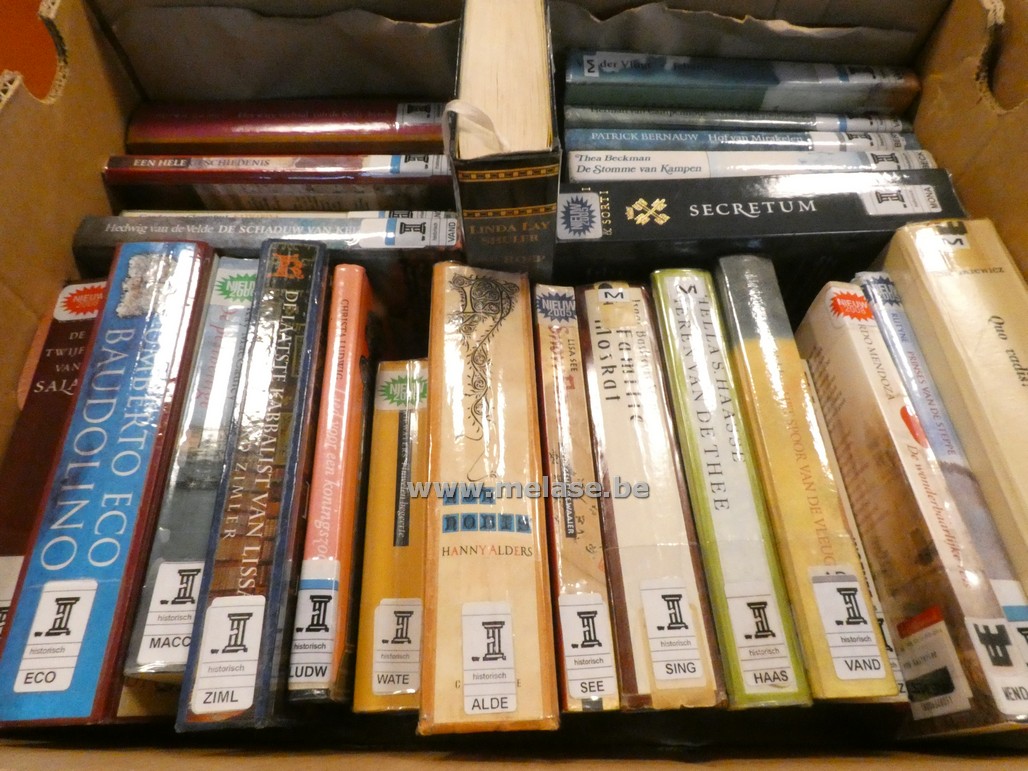 Doos boeken "Historische romans"