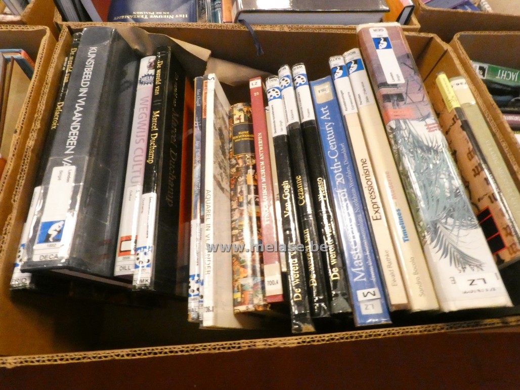Doos boeken "Kunst"