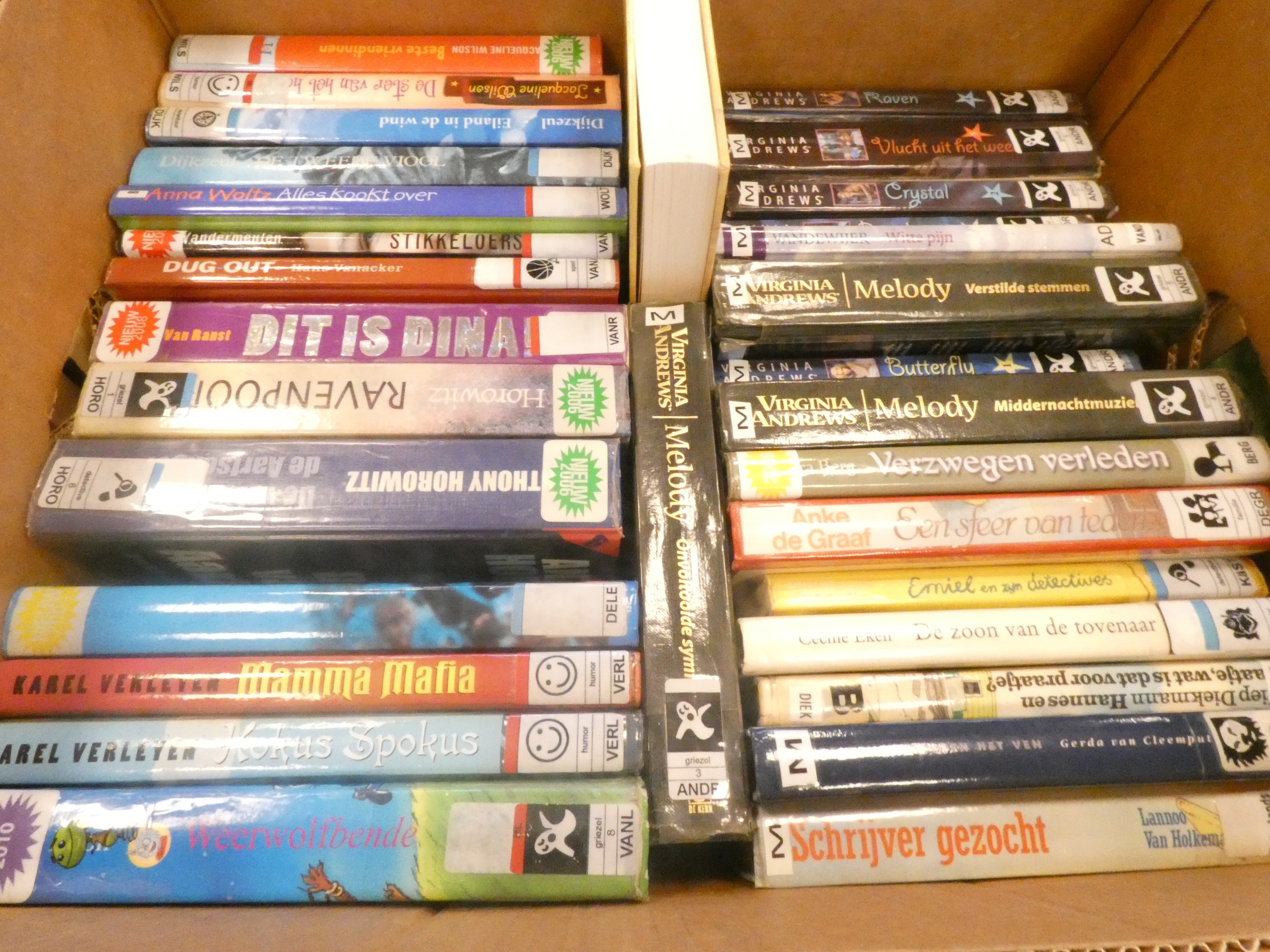 Doos jeugdboeken "14+"