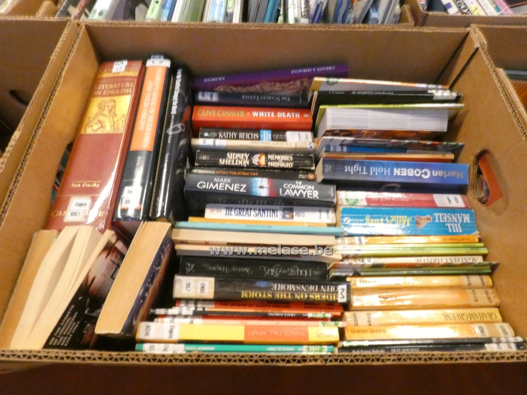 Doos boeken "Engelstalig"
