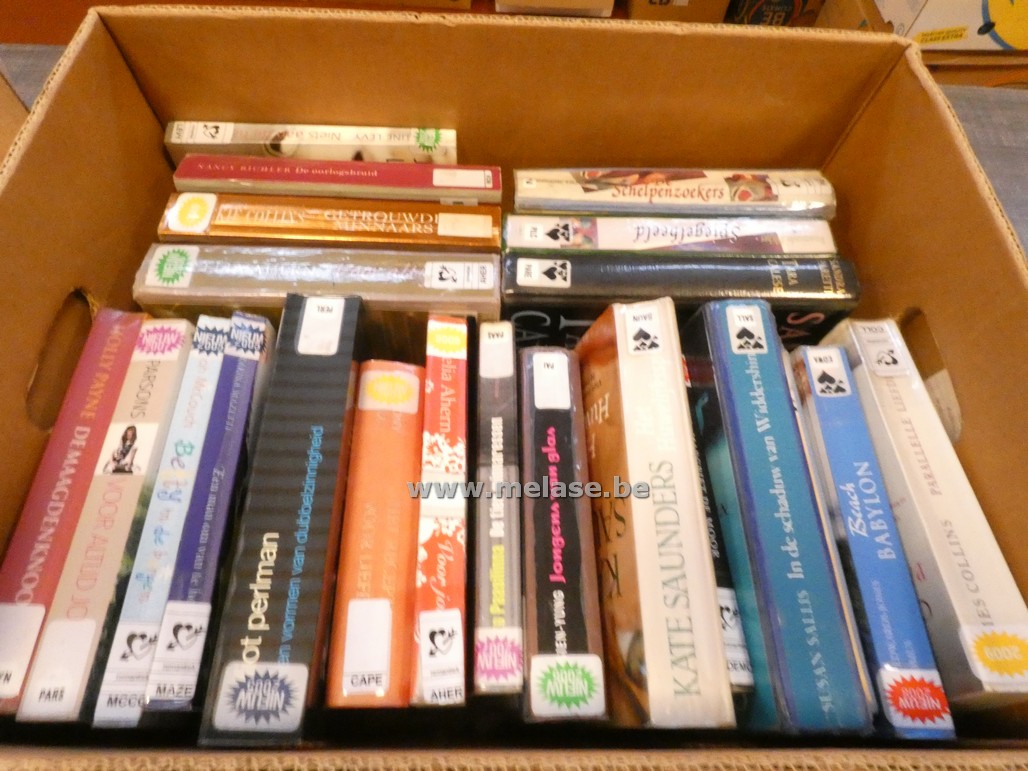Doos boeken "Romantiek"