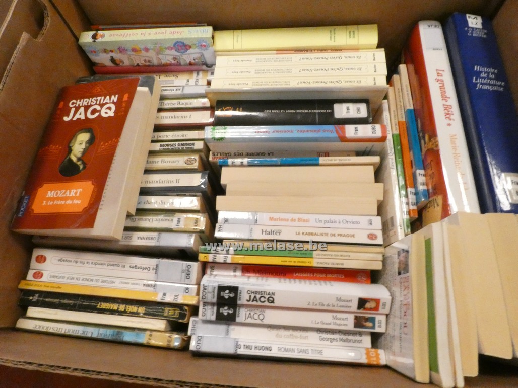Doos boeken "Franstalig"