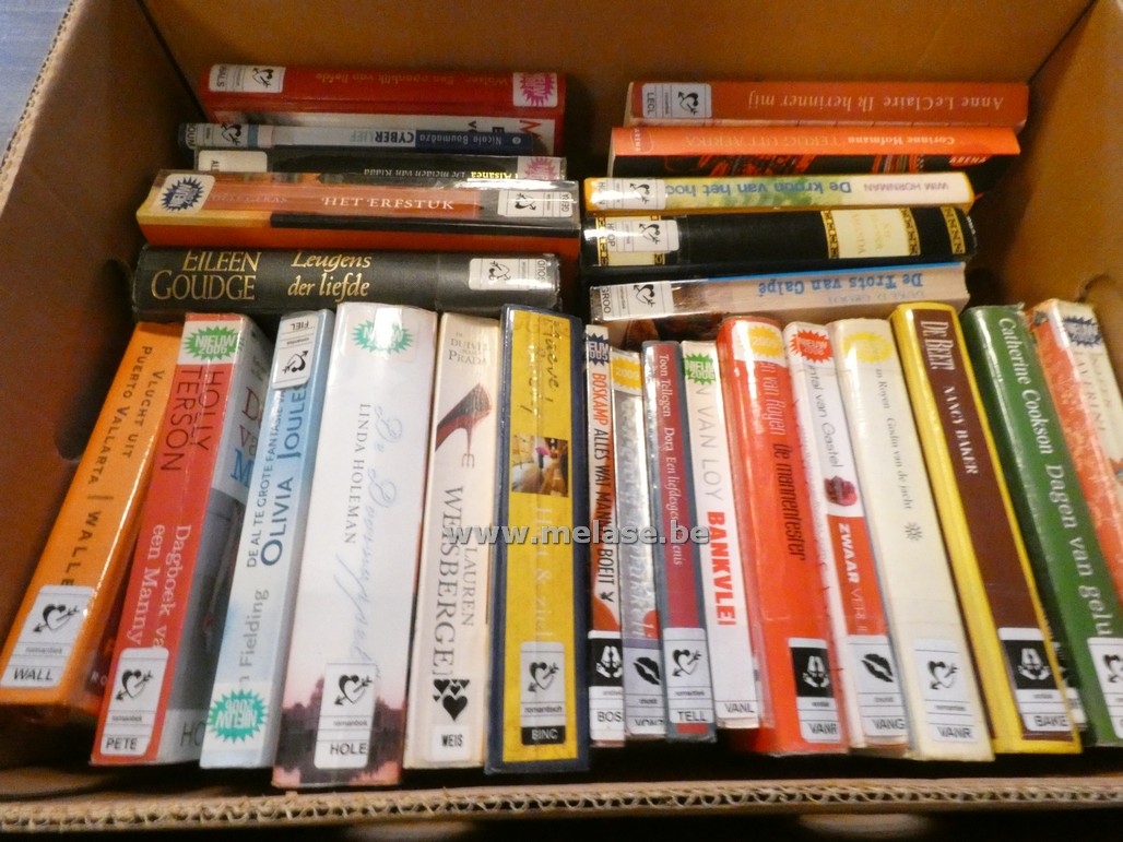 Doos boeken "Romantiek"