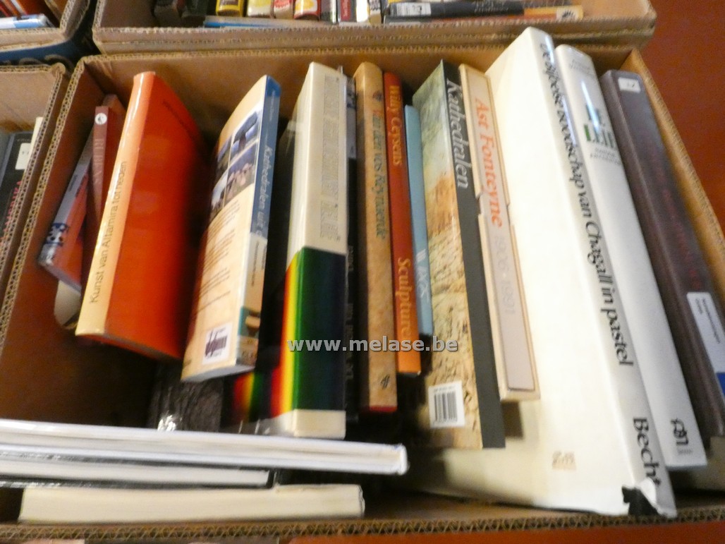 Doos boeken "Kunst"
