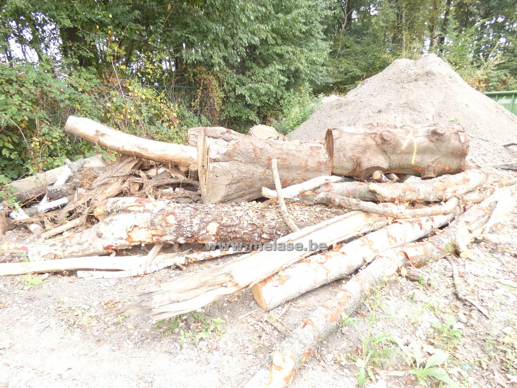 Partij stookhout