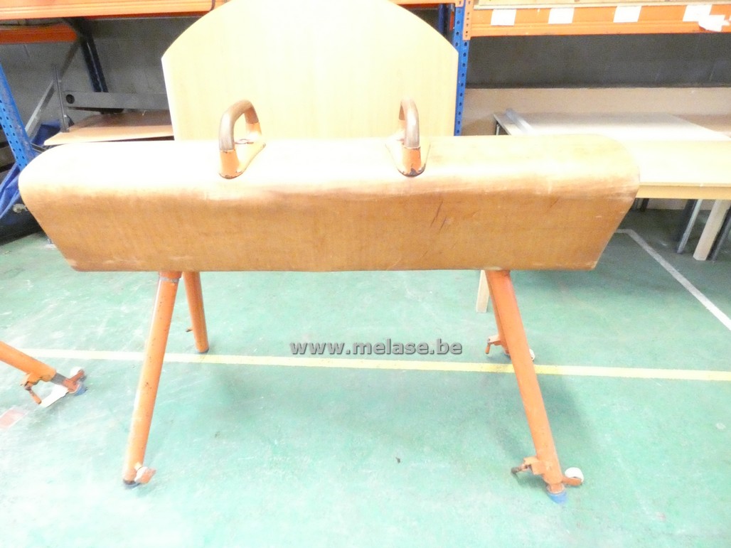Turntoestel "paard"