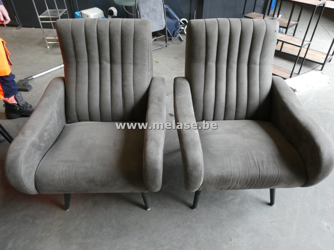 Zetels "grijze stof"