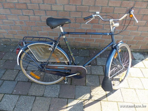 Herenfiets "Faggin"