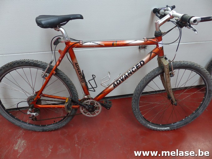 Mountainbike "Advanced"