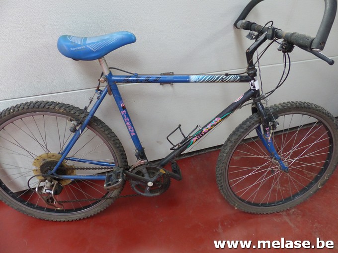Mountainbike "Minerva"