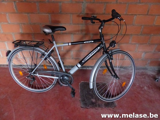Citybike "World"