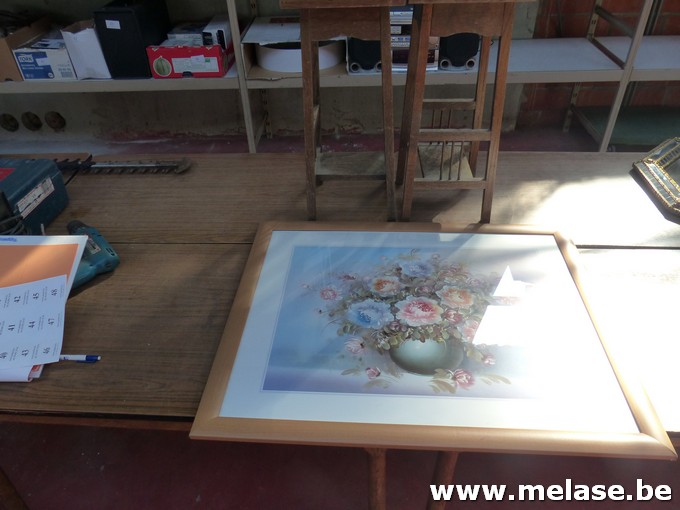 Prent in kader + 2 plantentafels