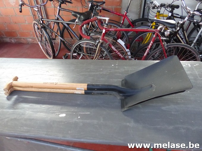Spades "Bellota"