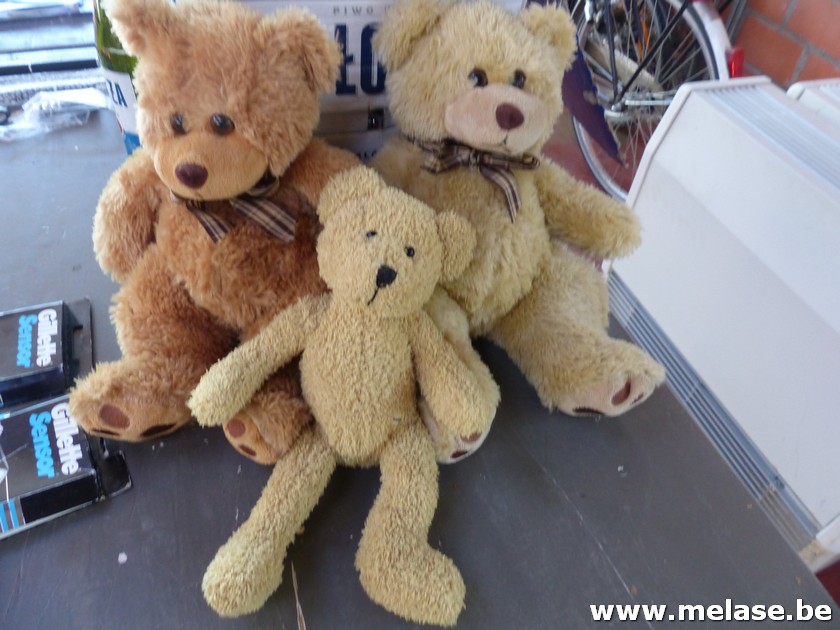 Teddyberen 