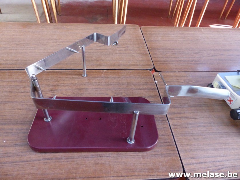 Hespenklem "lacor"