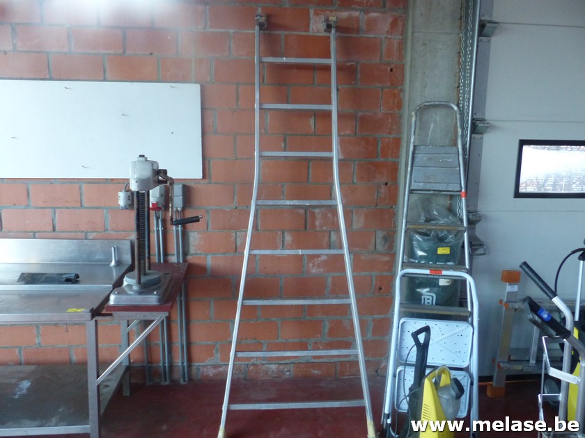 Ladder
