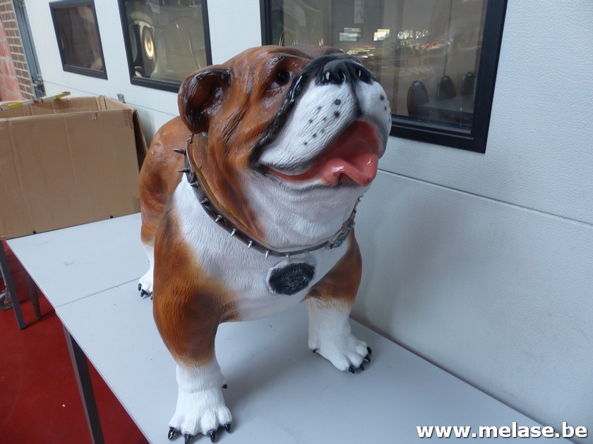 Beeld "bruine hond"