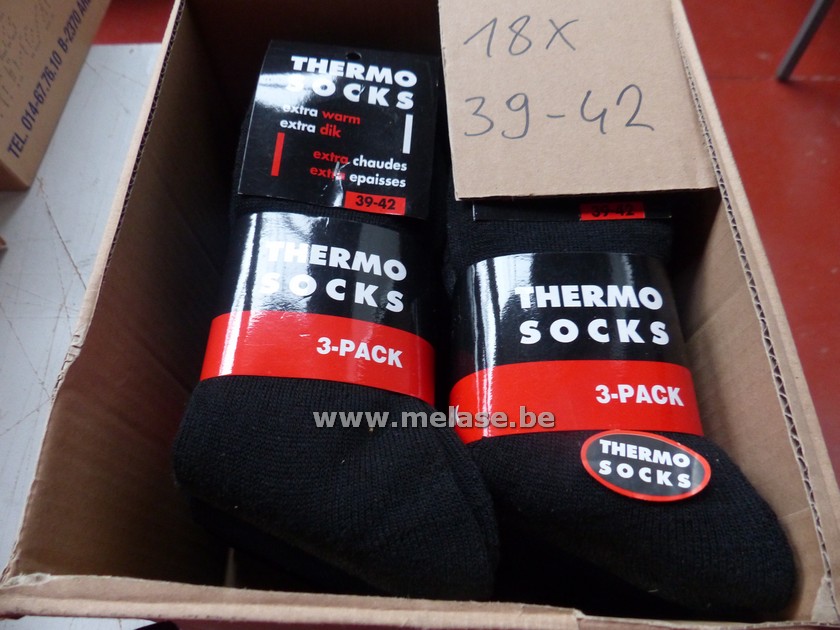 Thermosocks