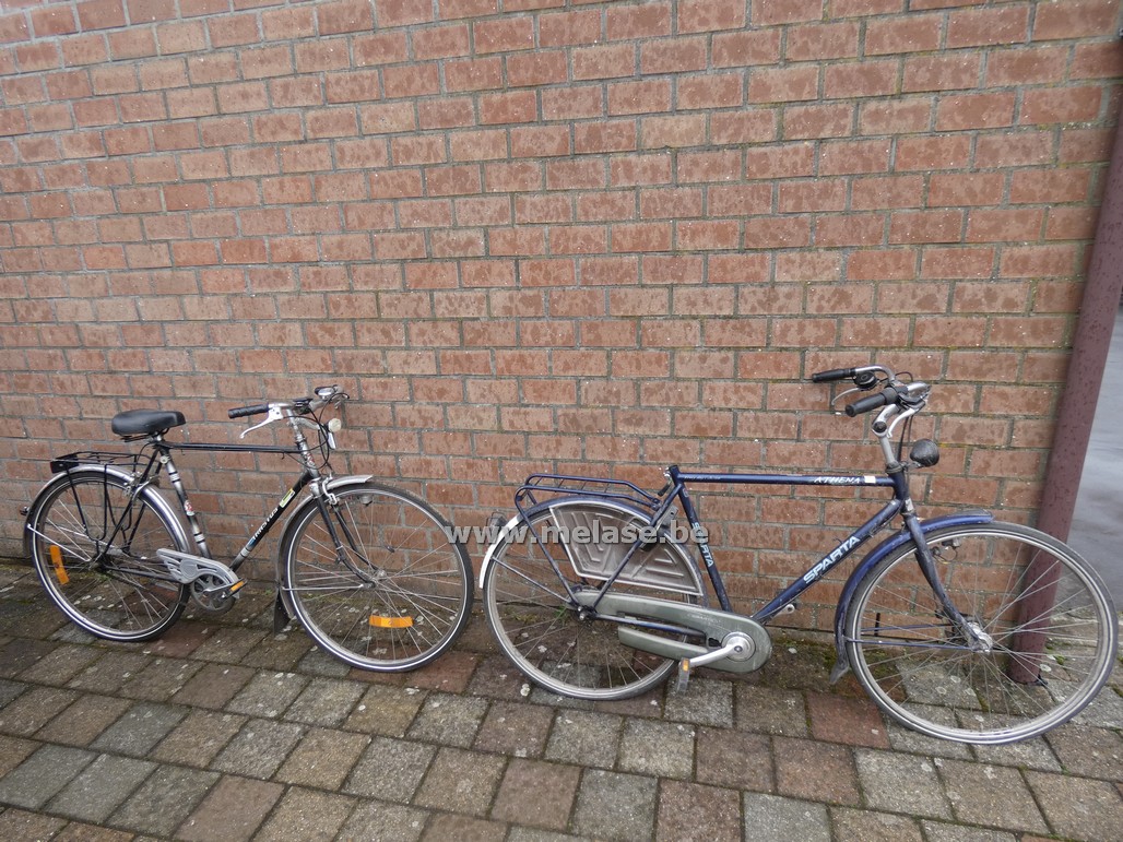 Herenfietsen "Sparta - Kastos"