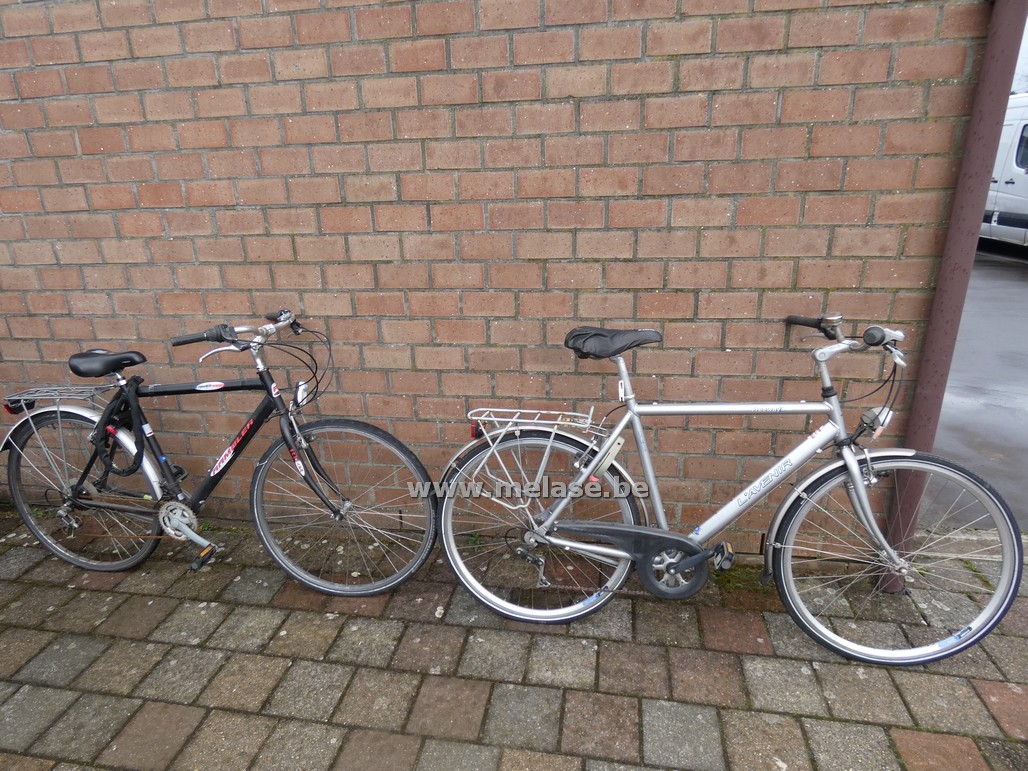 Herenfietsen "Rambler - L'Avenir"