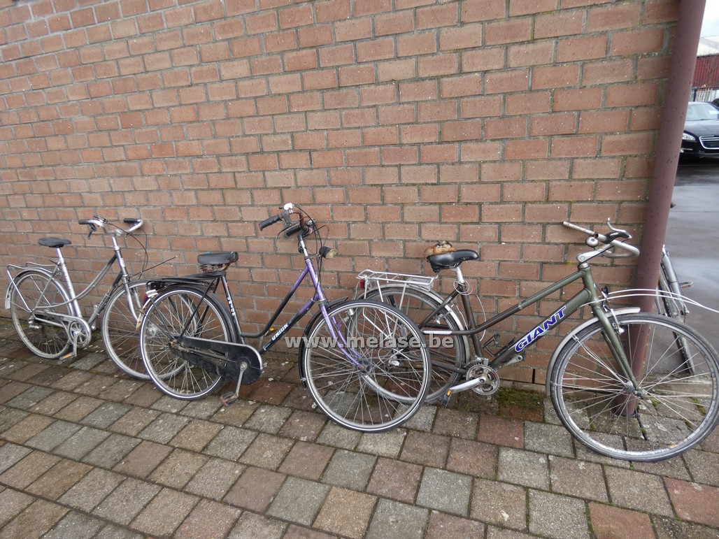 Damesfietsen "Giant - Gazelle - Union"