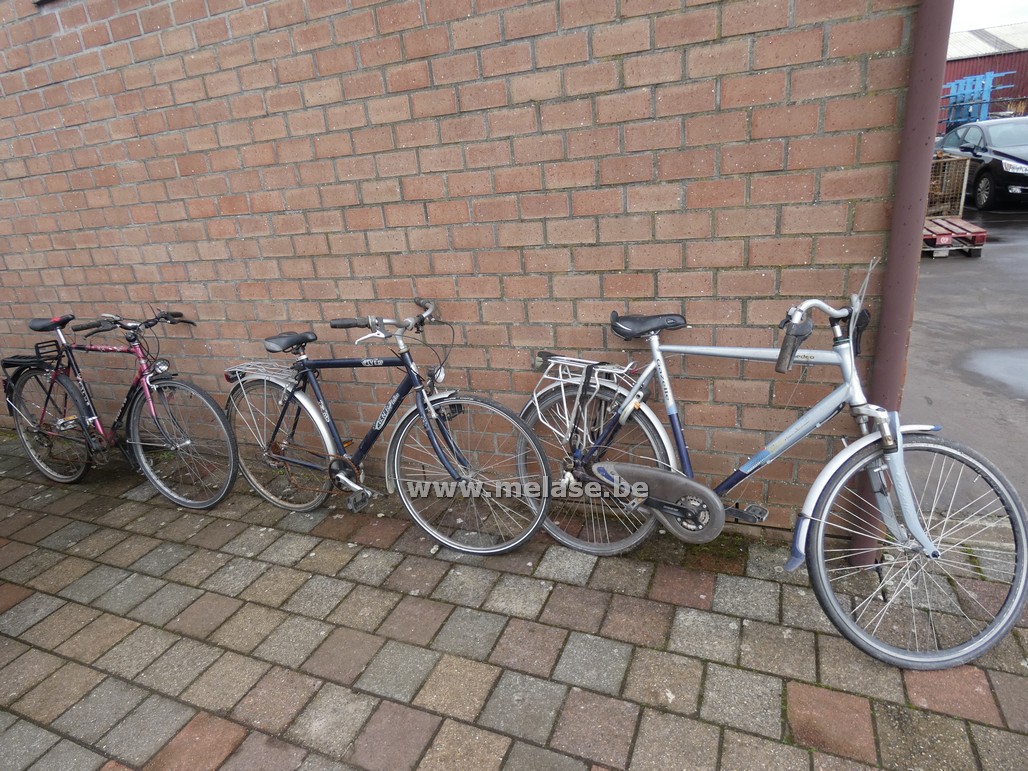 Herenfietsen " Gazelle - Norta - Flyer"