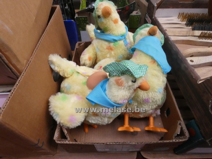 Kippen met beweeg, geluid en stuiterei