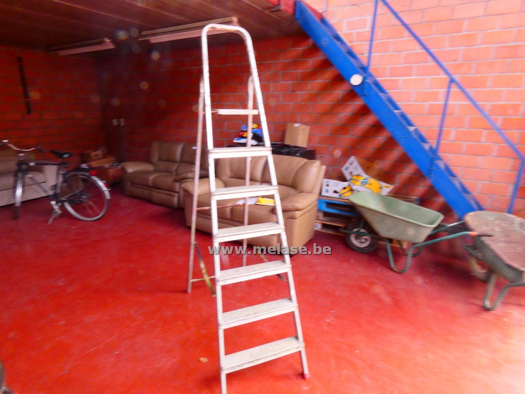 Trapladder