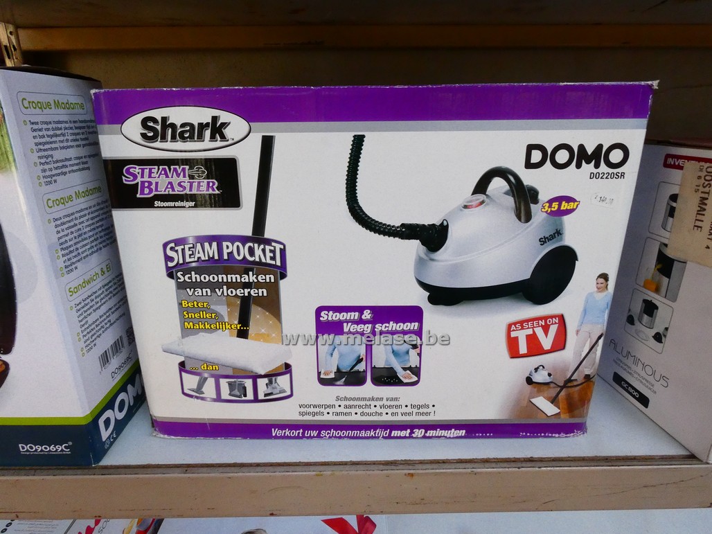 Stoomreiniger "Domo"