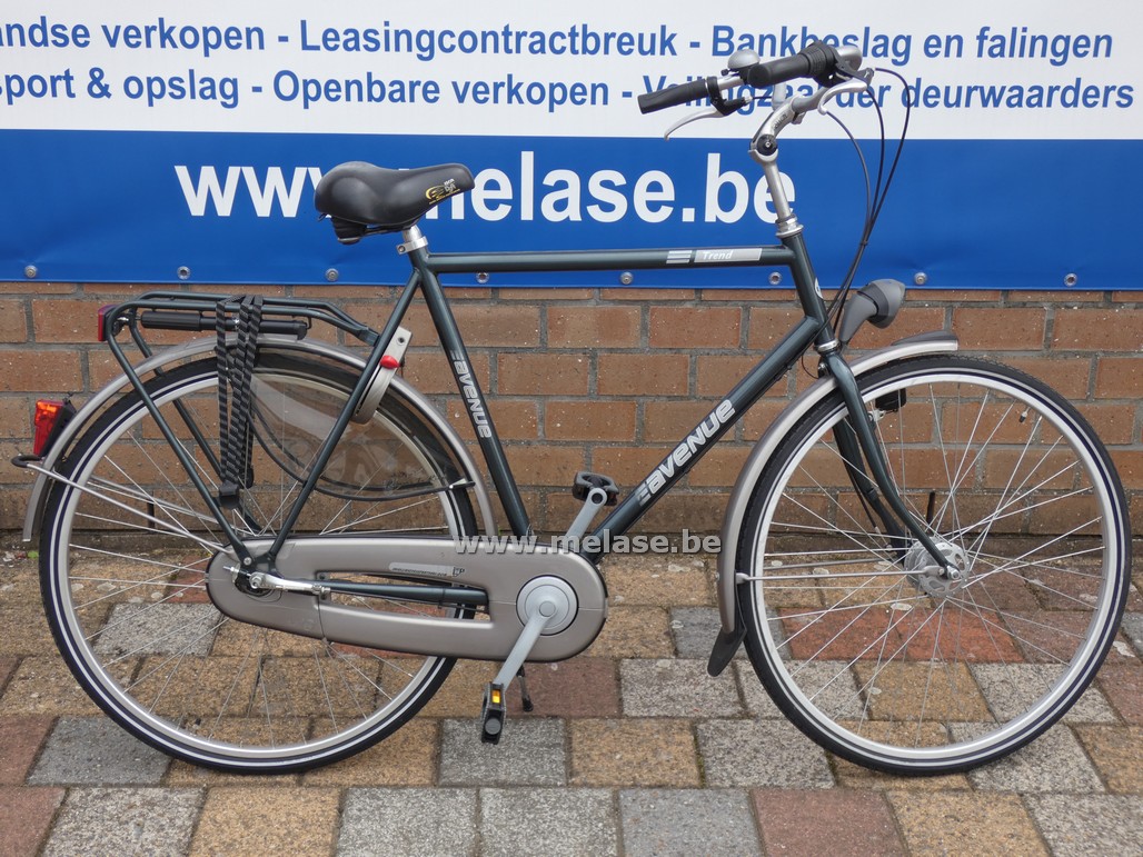 Herenfiets "Avenue Trend"