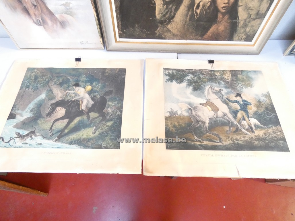 Prenten zonder kader "paarden"