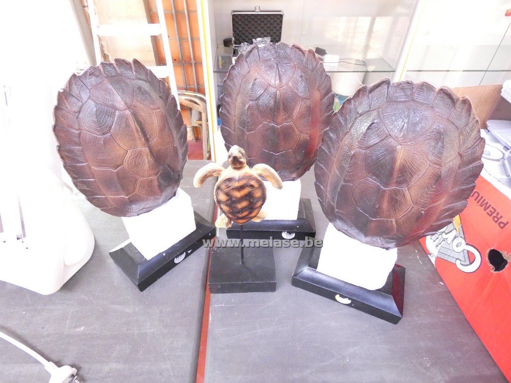 Decoratie "schildpad"