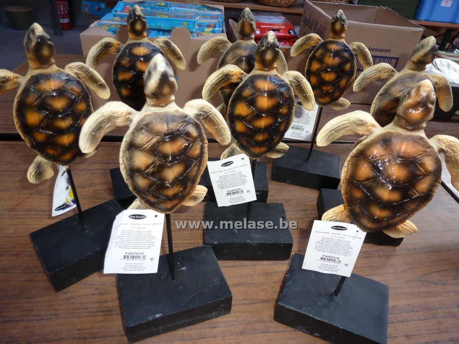 Decoratie schildpadden