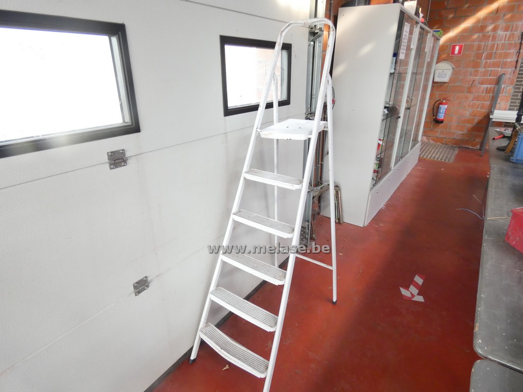 Trapladder