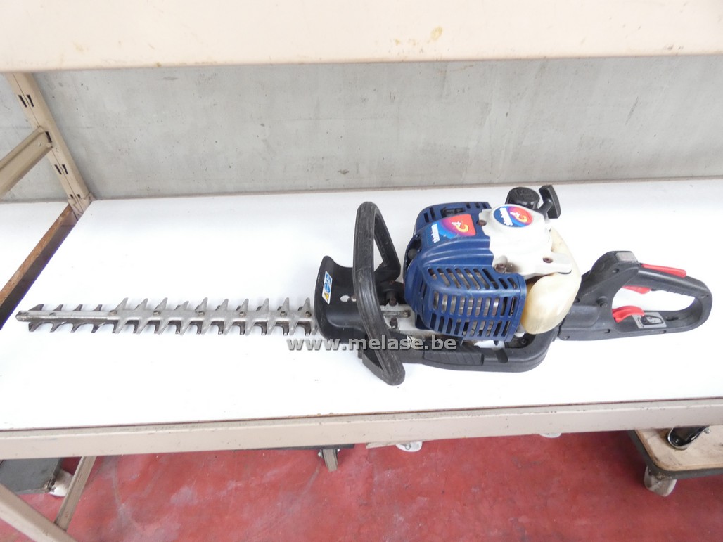 Haagschaar "Shindaina"