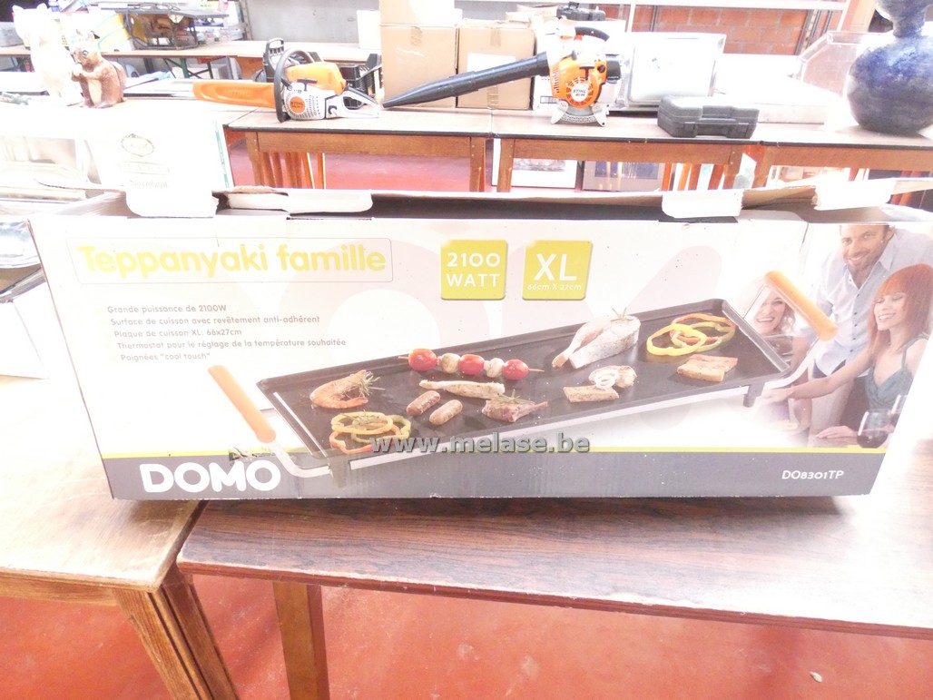 Teppanyaki "Domo"