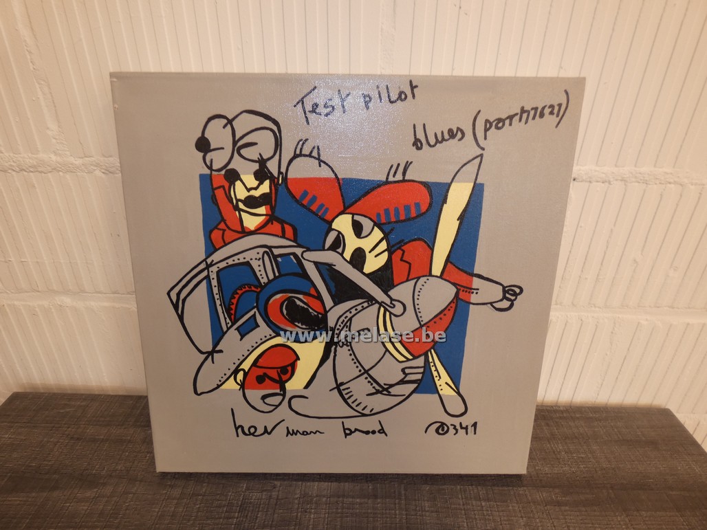 Canvas "Test pilot"