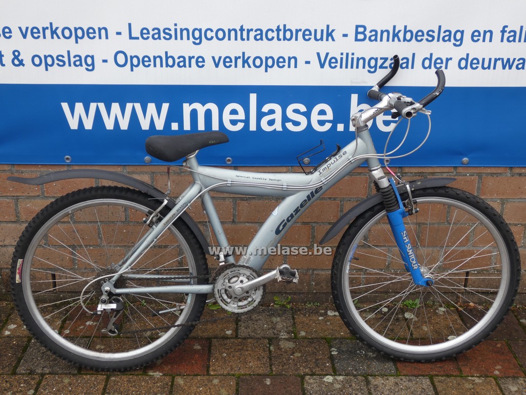 Mountainbike "Gazelle"