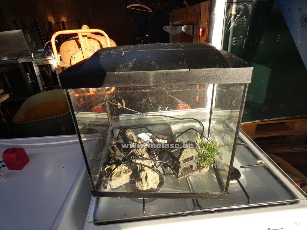 Aquarium 