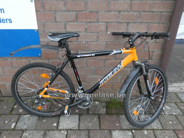 Mountainbike "Ideal"